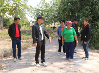 สหกรณ์จังหวัด ลงพื้นที่ตรวจเยี่ยมแปลงเกษตรผสมผสานสมาชิก พารามิเตอร์รูปภาพ 2